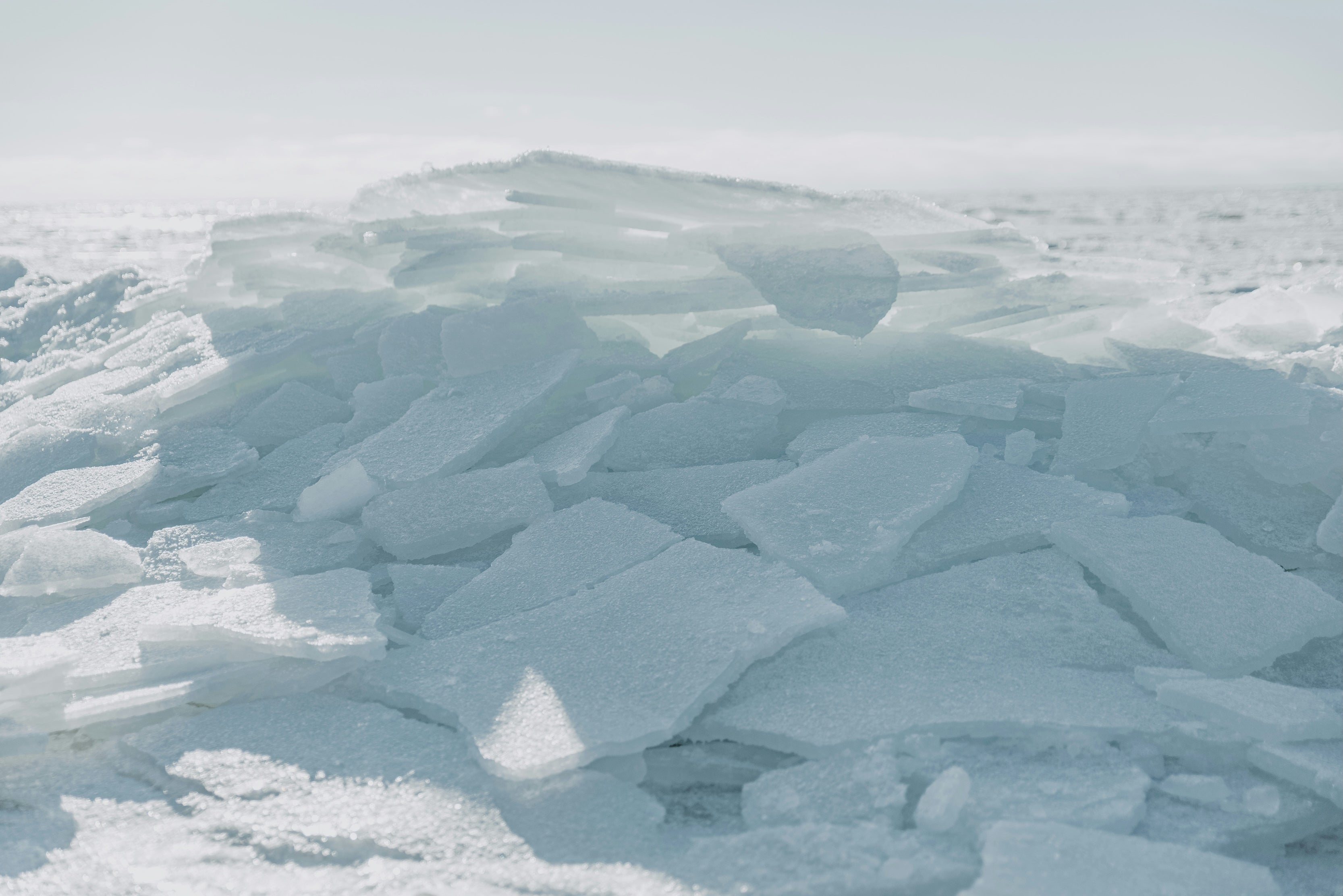 Fridtjof Nansen Polar Drift Simulation: Planning & Resilience Lab