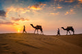 Ibn Battuta’s Global Journey: Immersive Route & Culture Series